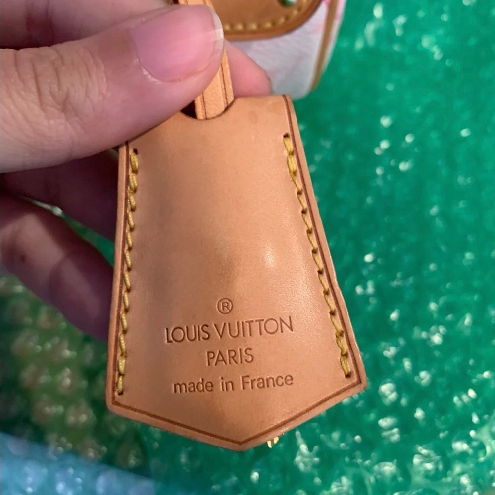 Louis Vuitton Bag